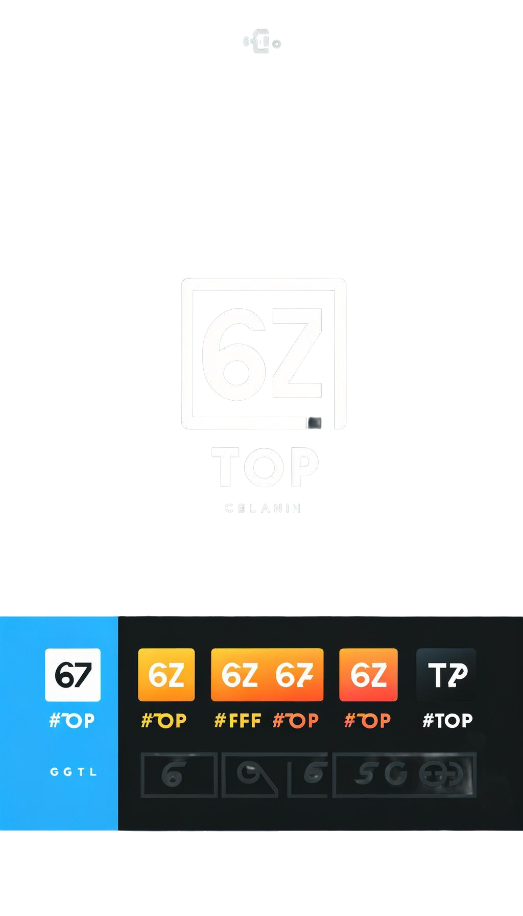 6z top